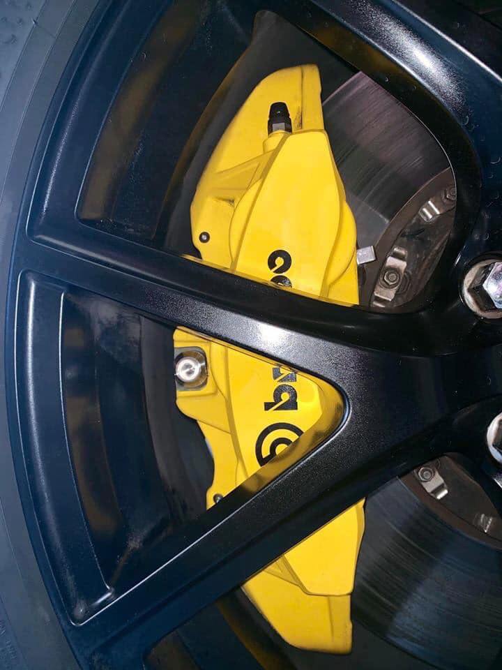 Brembo titanium caliper bolts